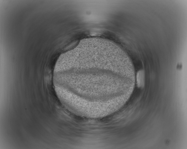 X0000100421443200807032050