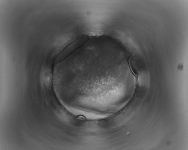 X0000100421444200807032050