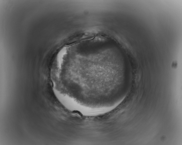 X0000100421445200807032050