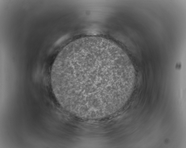 X0000100421446200807032050