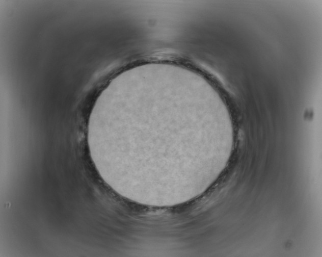 X0000100421447200807032050