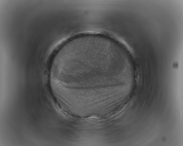 X0000100421448200807032050