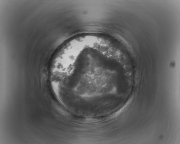 X0000100421449200807032050