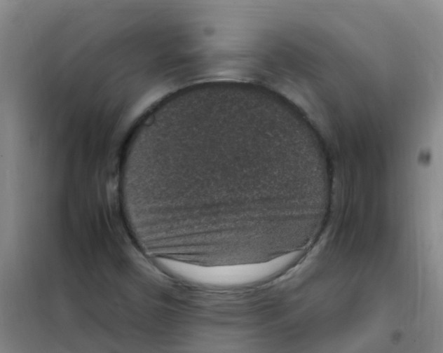 X0000100421450200807032050