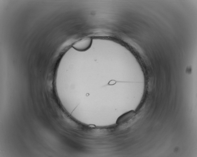 X0000100421451200807032050