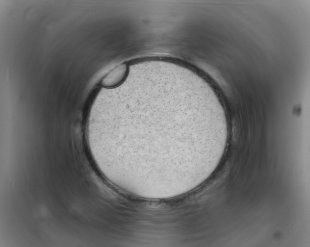 X0000100421452200807032050