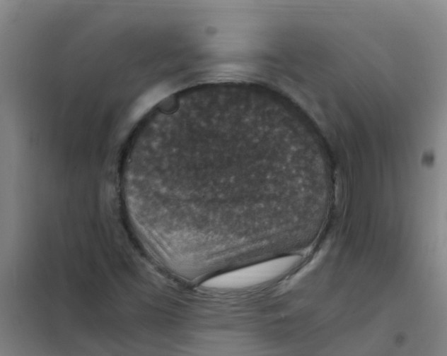 X0000100421453200807032050