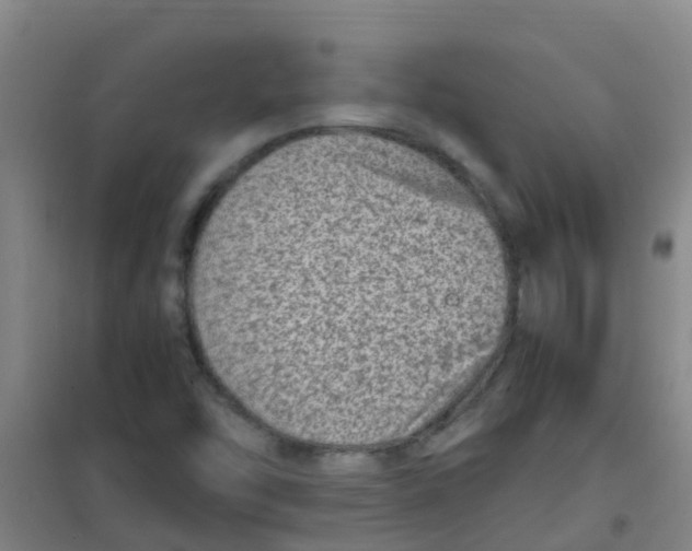 X0000100421454200807032050