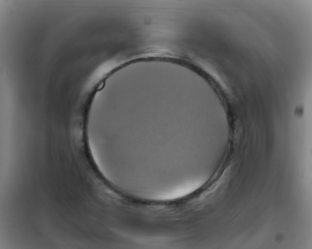 X0000100421455200807032050