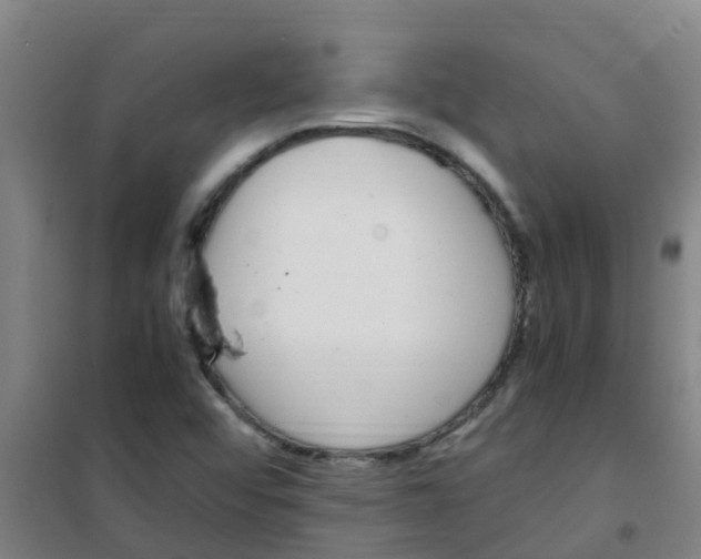 X0000100421456200807032050