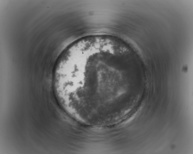 X0000100421457200807032050