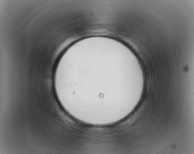 X0000100421458200807032050