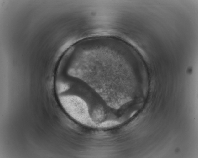 X0000100421459200807032050