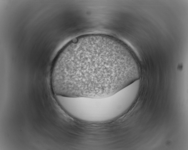 X0000100421460200807032050