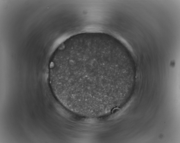 X0000100421461200807032050