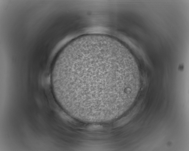 X0000100421462200807032050