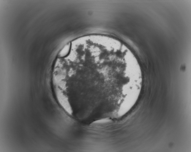 X0000100421463200807032050