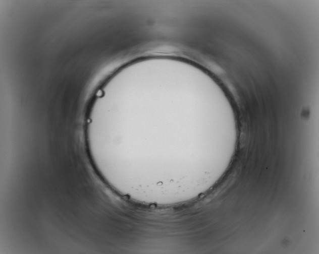 X0000100421464200807032050