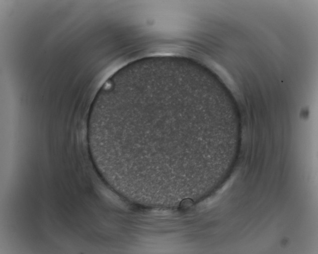 X0000100421465200807032049