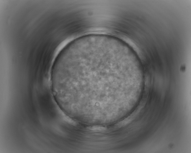 X0000100421466200807032049