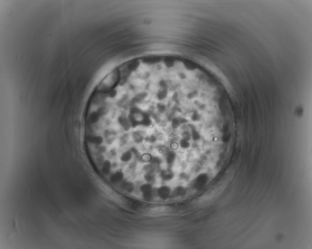 X0000100421467200807032049