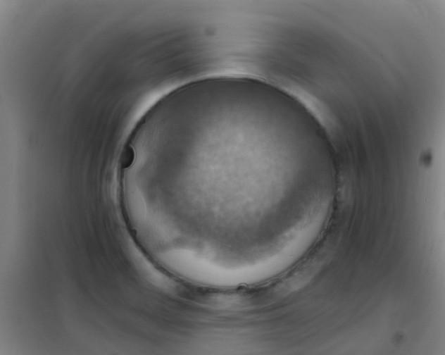 X0000100421468200807032049