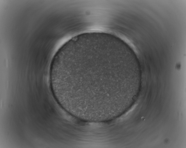 X0000100421469200807032049