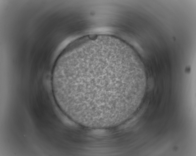 X0000100421470200807032049