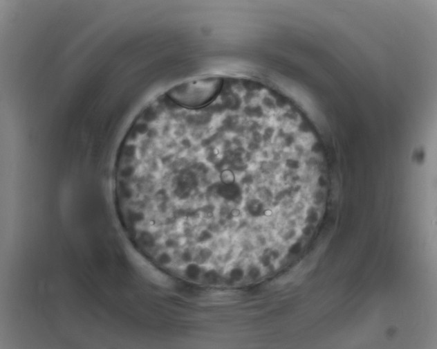 X0000100421471200807032049