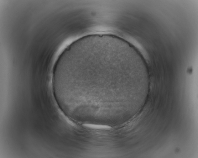 X0000100421472200807032049