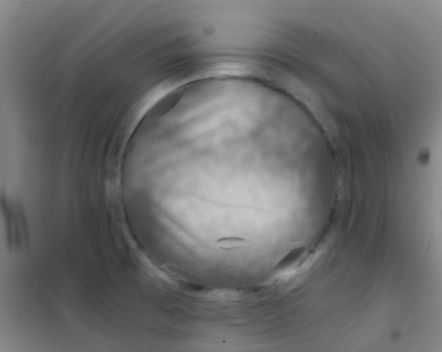 X0000100421473200807032049