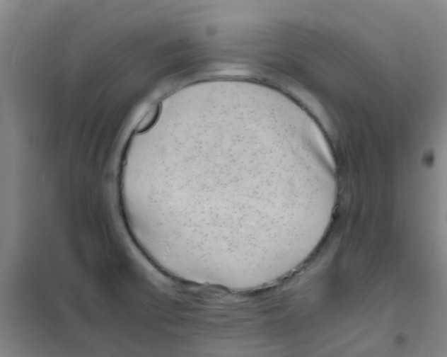 X0000100421475200807032049