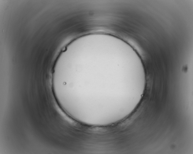 X0000100421476200807032049