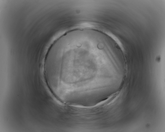 X0000100421477200807032049