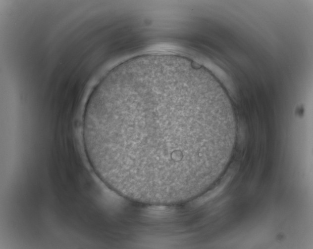 X0000100421478200807032049