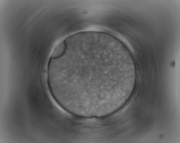 X0000100421479200807032049