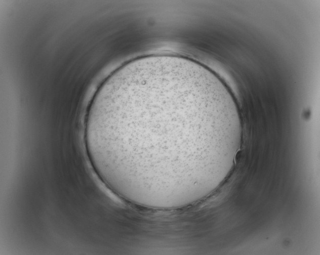 X0000100421480200807032049