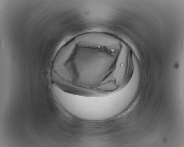 X0000100421481200807032049