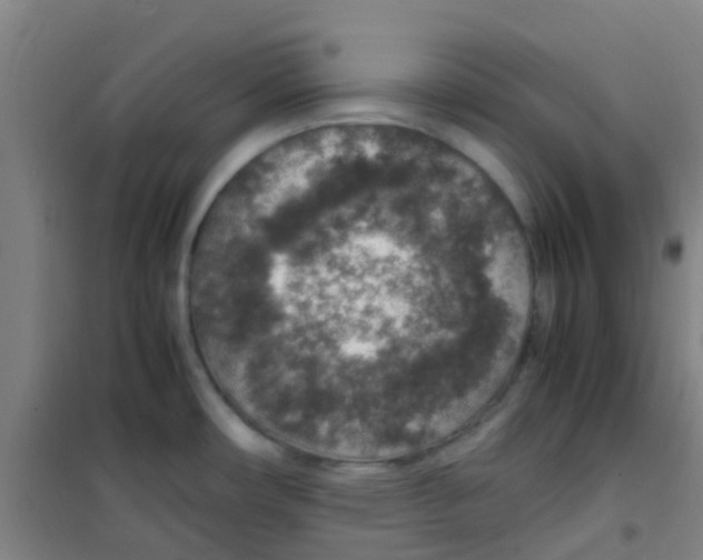 X0000100421482200807032049