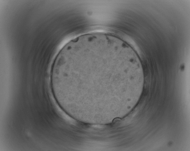 X0000100421483200807032049