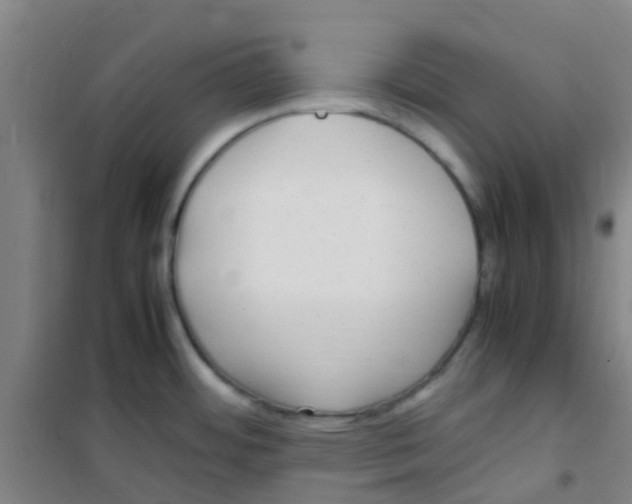 X0000100421484200807032049