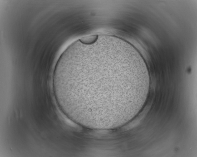 X0000100421486200807032049