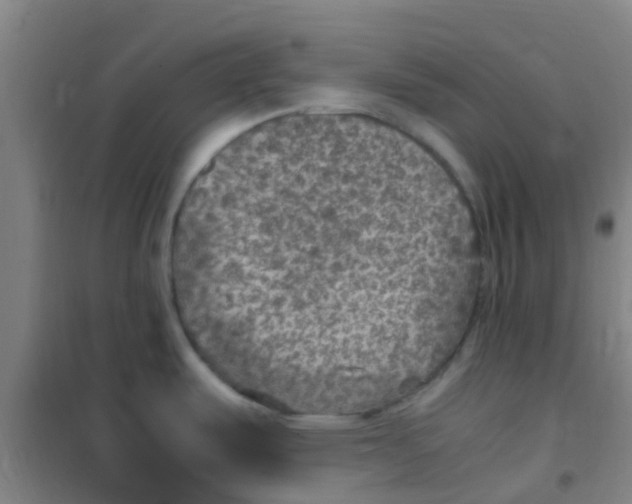 X0000100421487200807032049