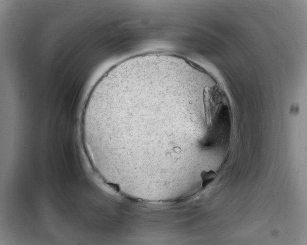 X0000100421488200807032049