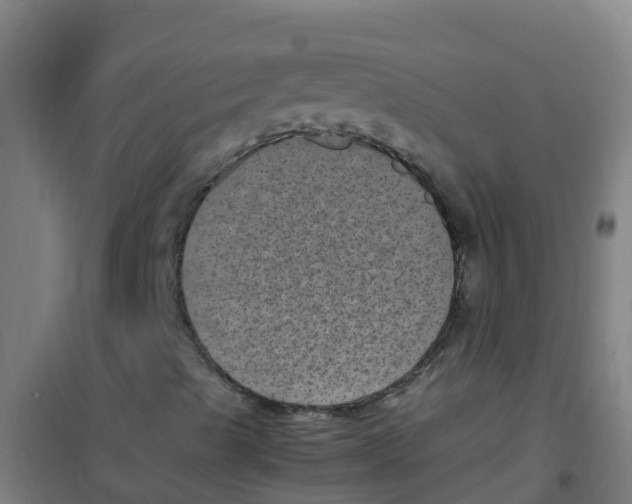 X0000100421489200807032048