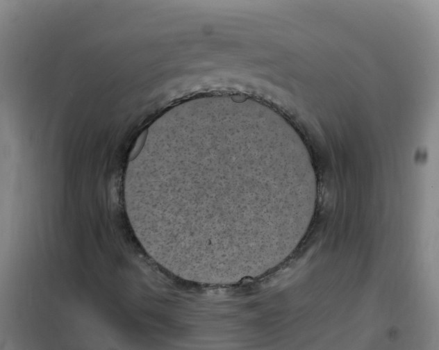 X0000100421490200807032048