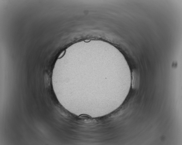 X0000100421491200807032048