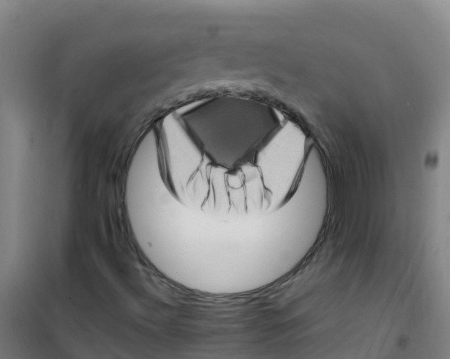 X0000100421492200807032048