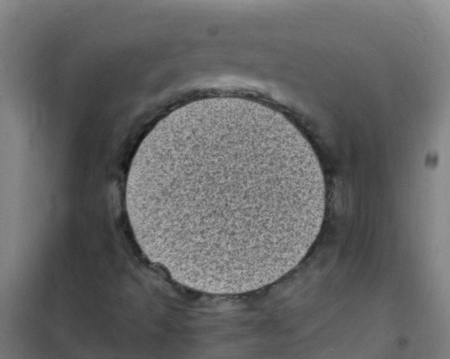 X0000100421493200807032048