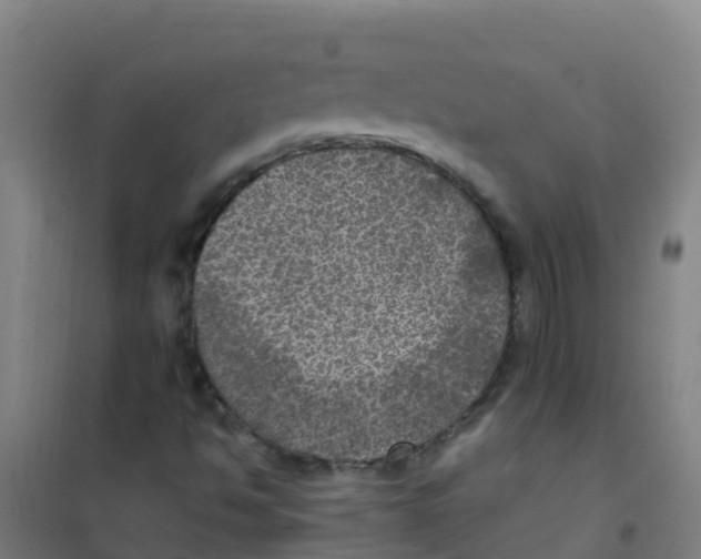 X0000100421494200807032048